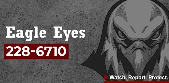 EagleEyes.jpg